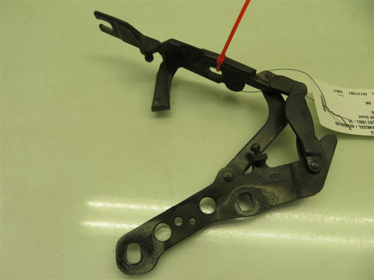 Panser Hengsel / Hengsler – bilde 2