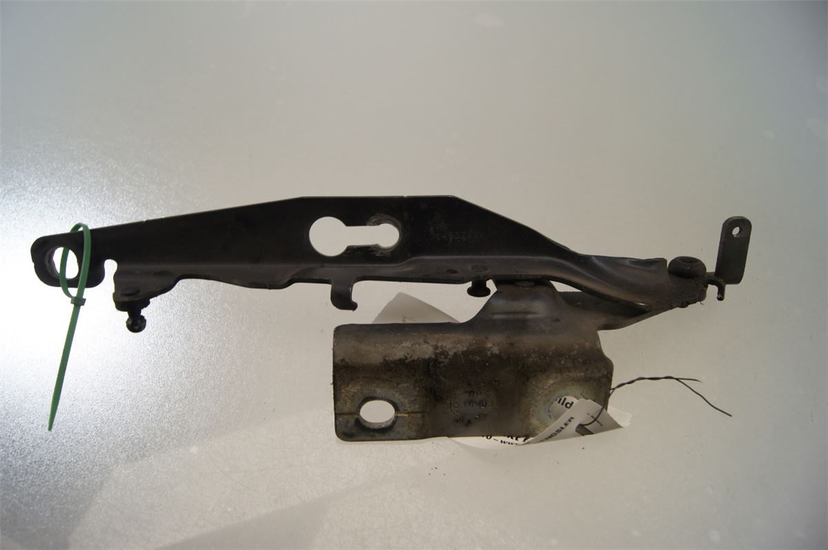 Panser Hengsel / Hengsler – bilde 2
