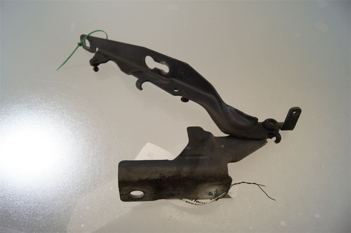 Panser Hengsel / Hengsler – bilde 3