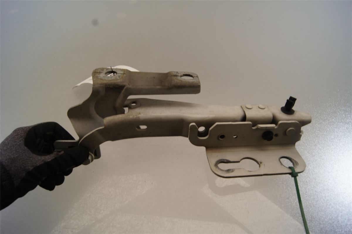 Panser Hengsel / Hengsler – bilde 3