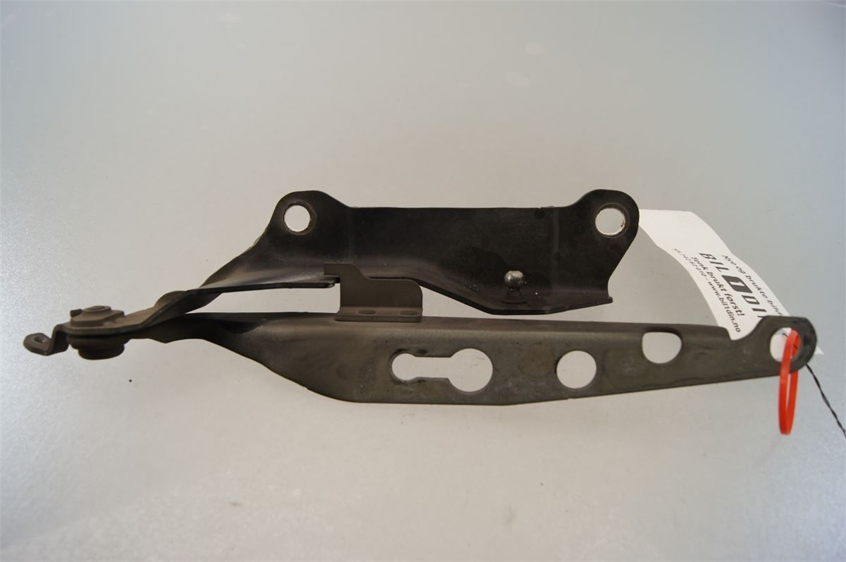 Panser Hengsel / Hengsler – bilde 2