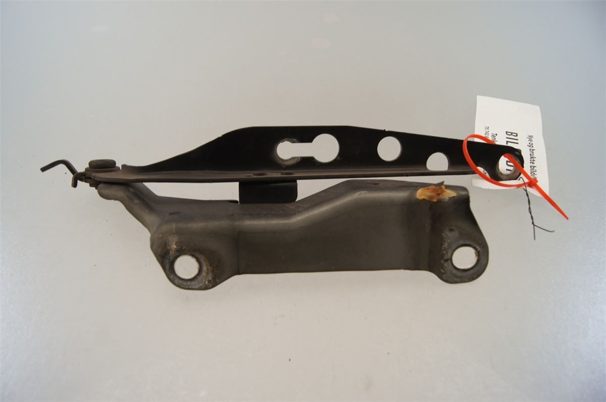 Panser Hengsel / Hengsler – bilde 3