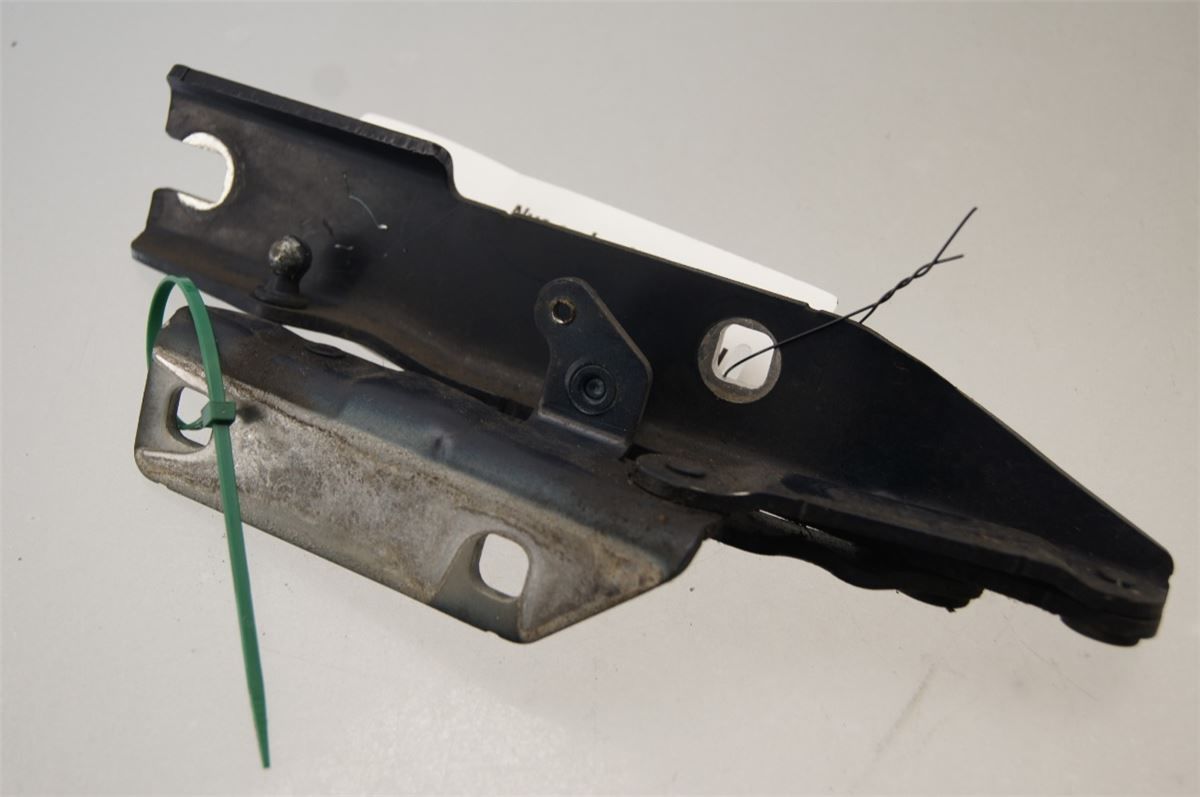 Panser Hengsel / Hengsler – bilde 1