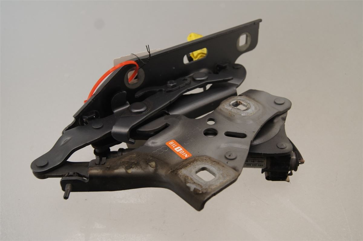 Panser Hengsel / Hengsler – bilde 1