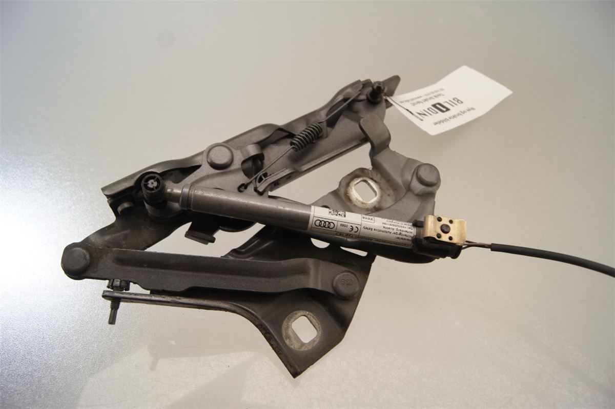 Panser Hengsel / Hengsler – bilde 2