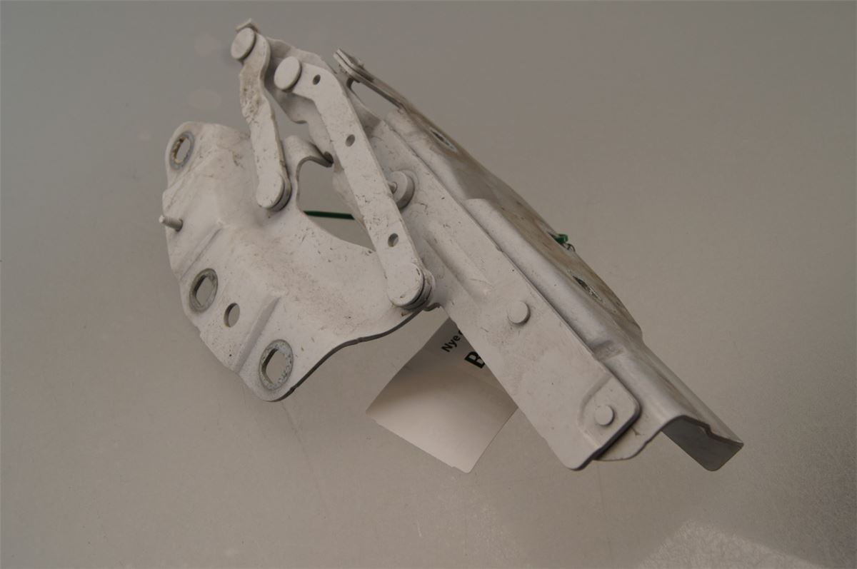 Panser Hengsel / Hengsler – bilde 3