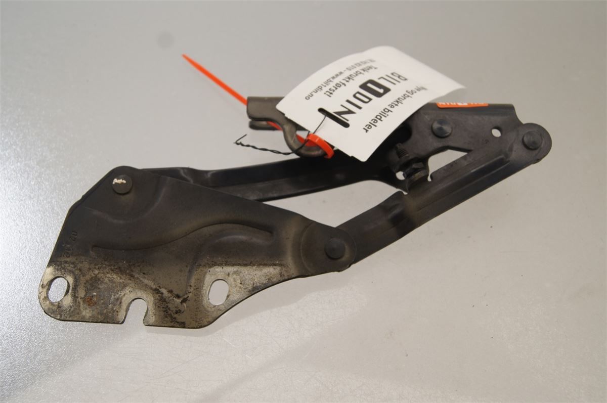 Panser Hengsel / Hengsler – bilde 1
