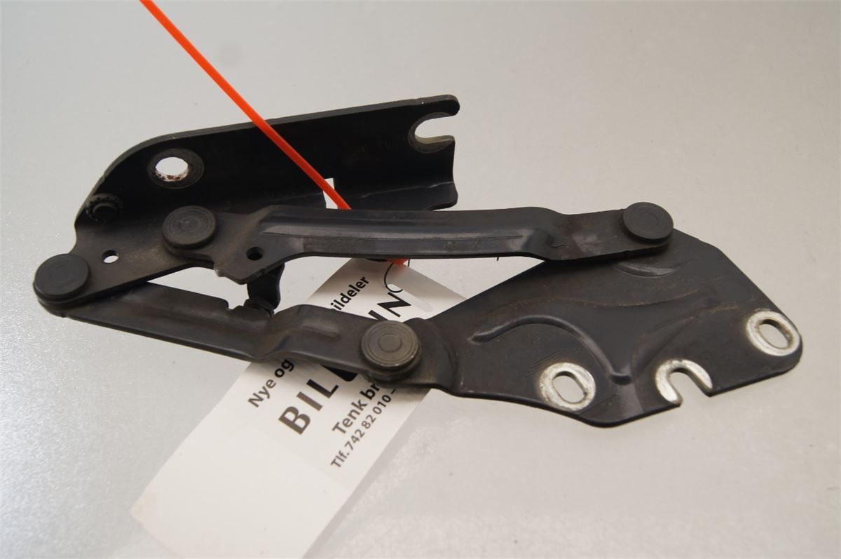 Panser Hengsel / Hengsler – bilde 2