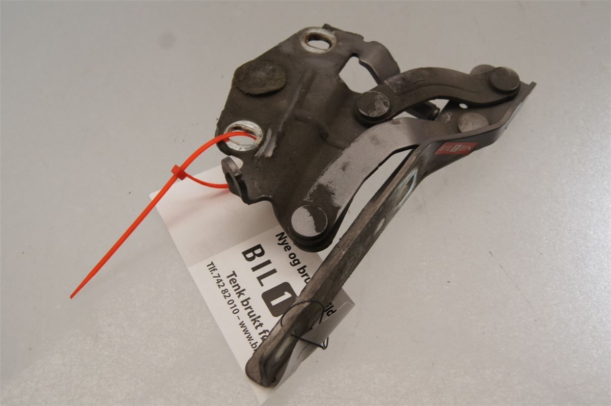 Panser Hengsel / Hengsler – bilde 2
