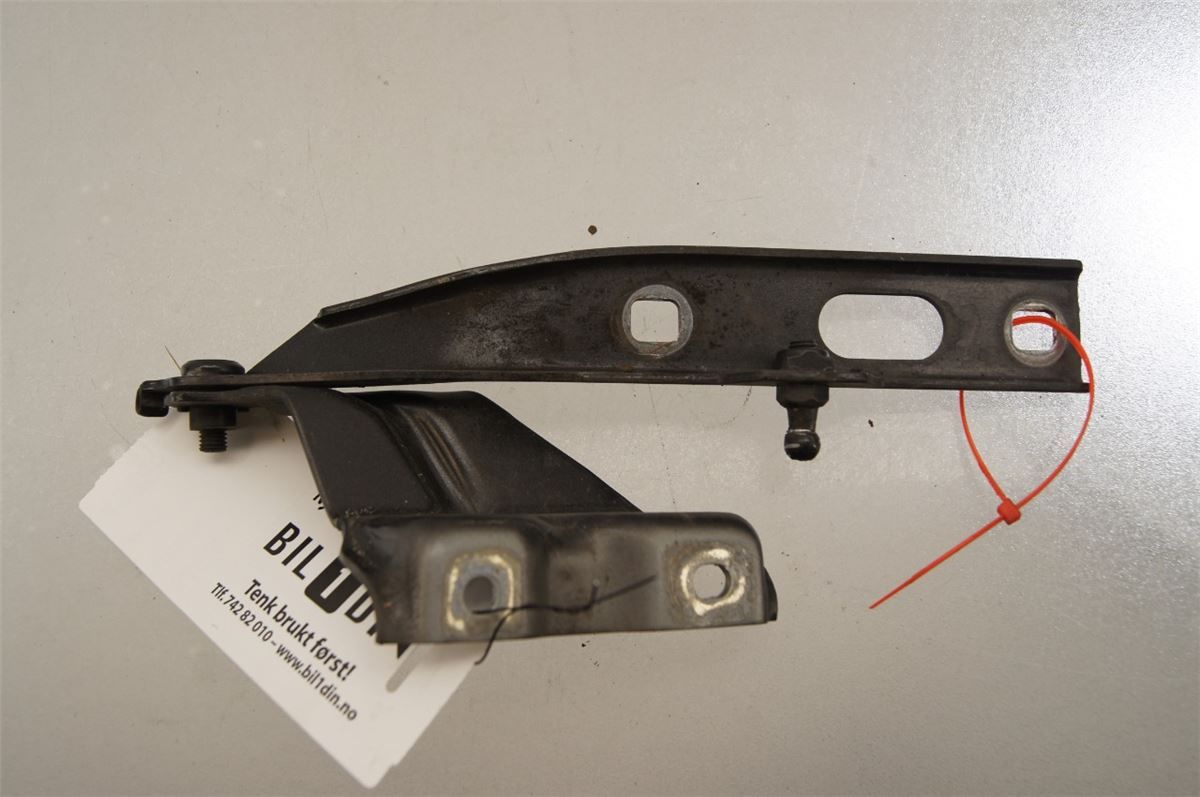 Panser Hengsel / Hengsler – bilde 2