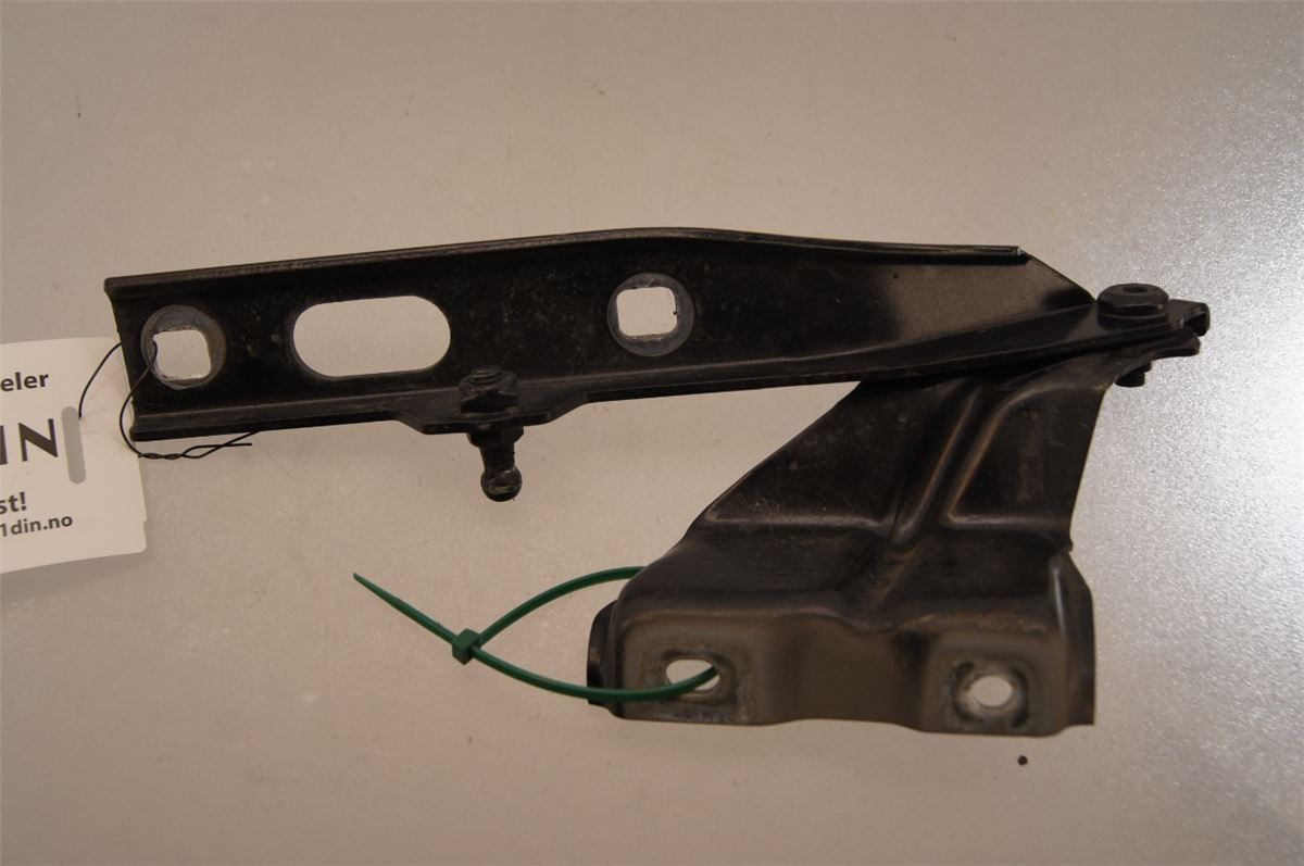 Panser Hengsel / Hengsler – bilde 2