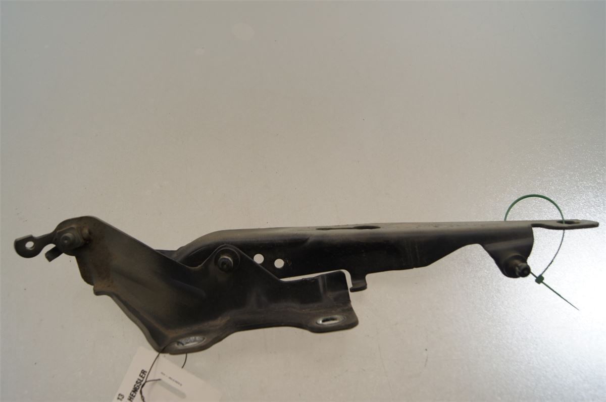 Panser Hengsel / Hengsler – bilde 1