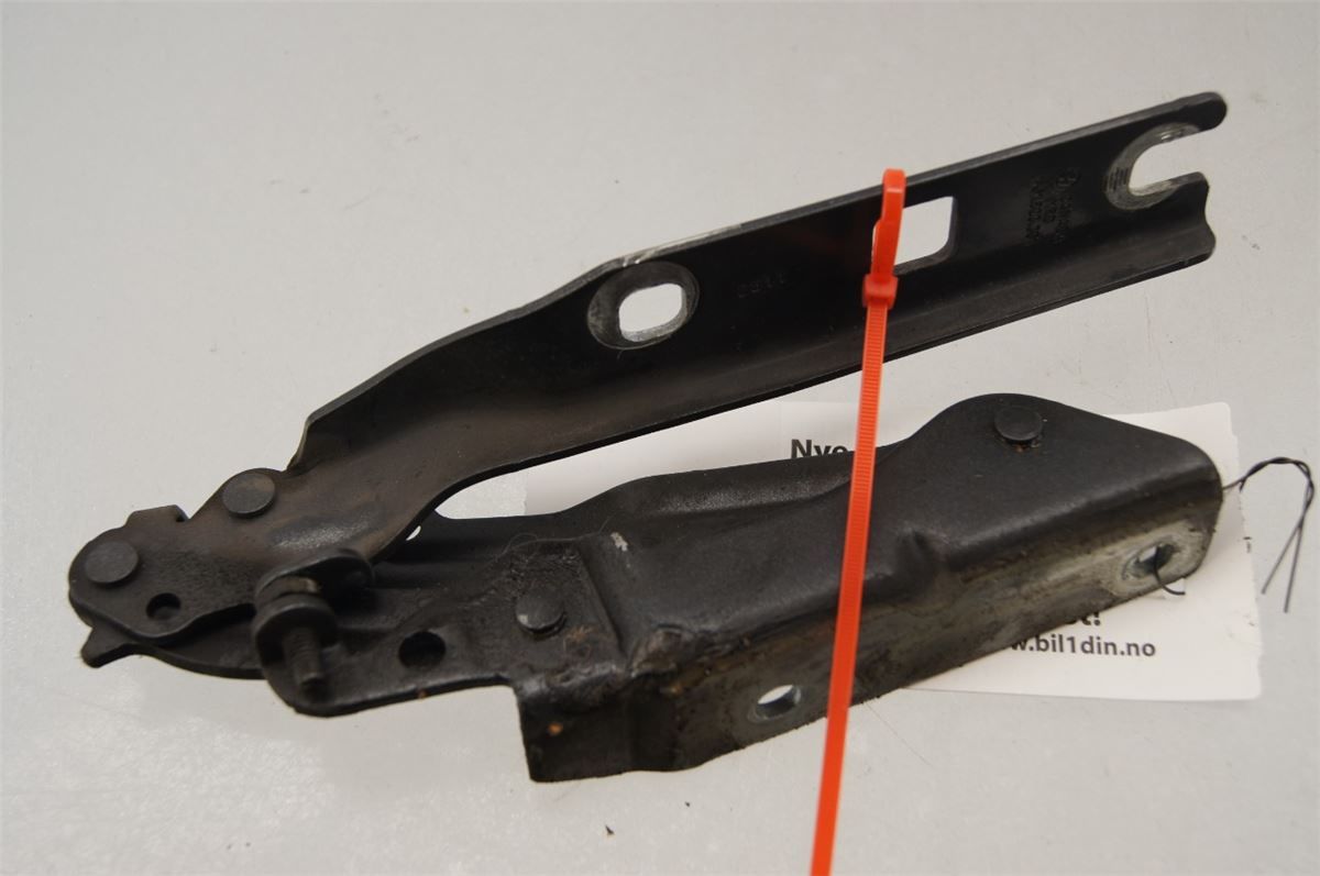 Panser Hengsel / Hengsler – bilde 3