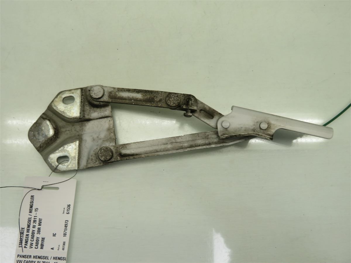 Panser Hengsel / Hengsler – bilde 1