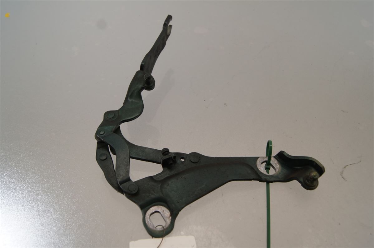 Panser Hengsel / Hengsler – bilde 1