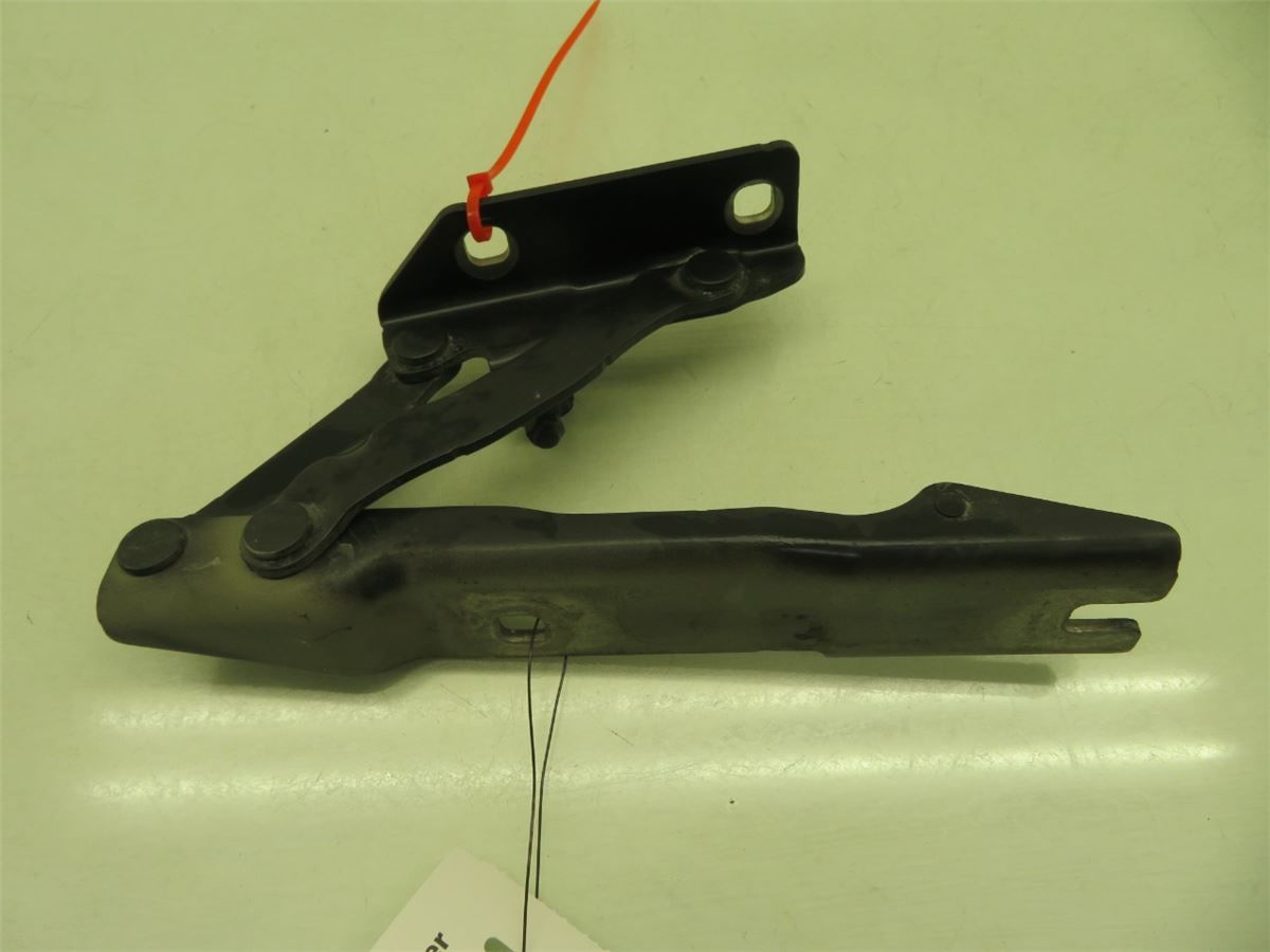 Panser Hengsel / Hengsler – bilde 3