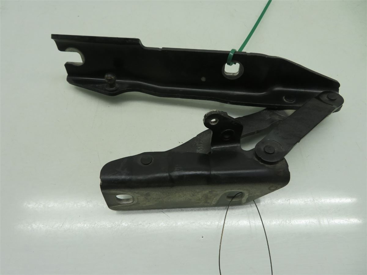 Panser Hengsel / Hengsler – bilde 1