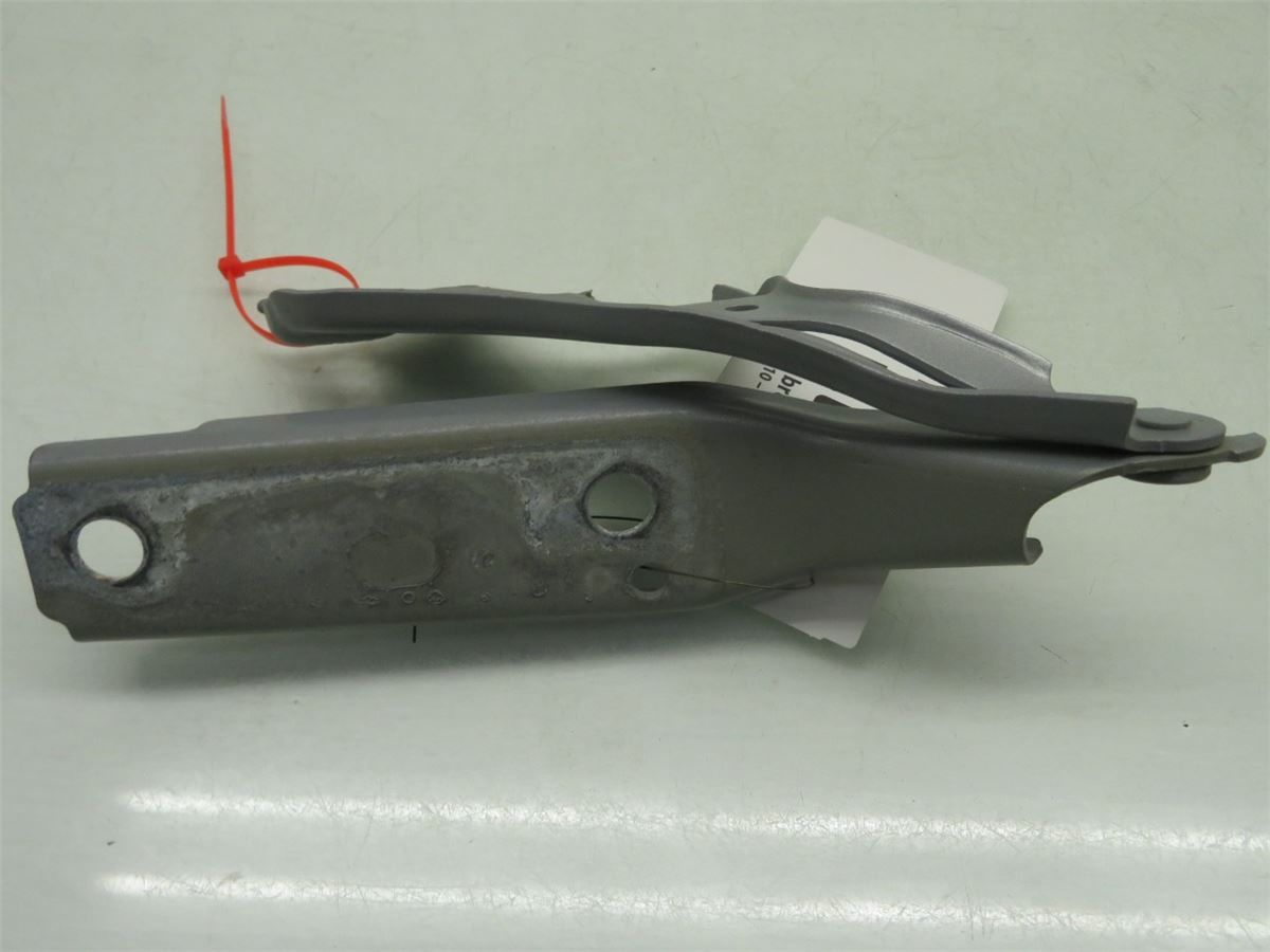 Panser Hengsel / Hengsler – bilde 3