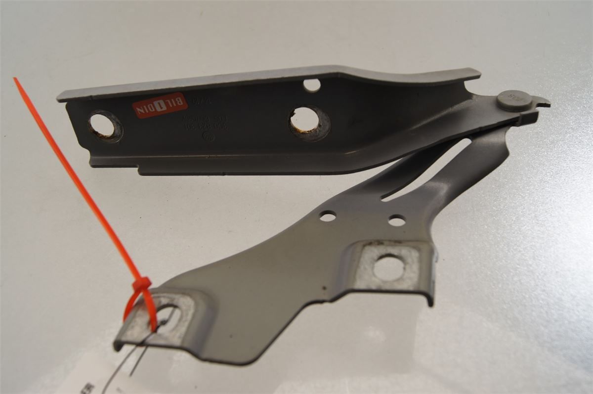 Panser Hengsel / Hengsler – bilde 1