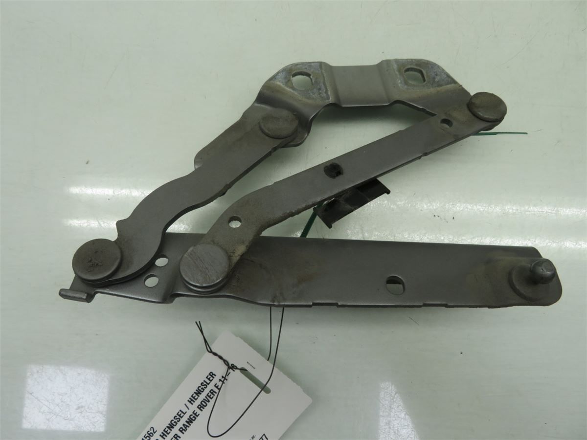 Panser Hengsel / Hengsler – bilde 2