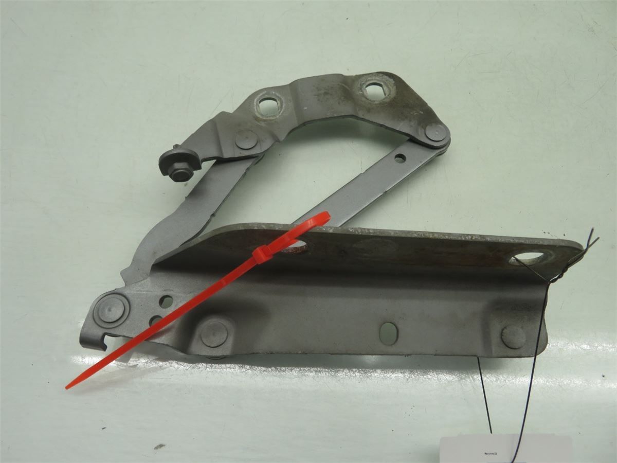 Panser Hengsel / Hengsler – bilde 1