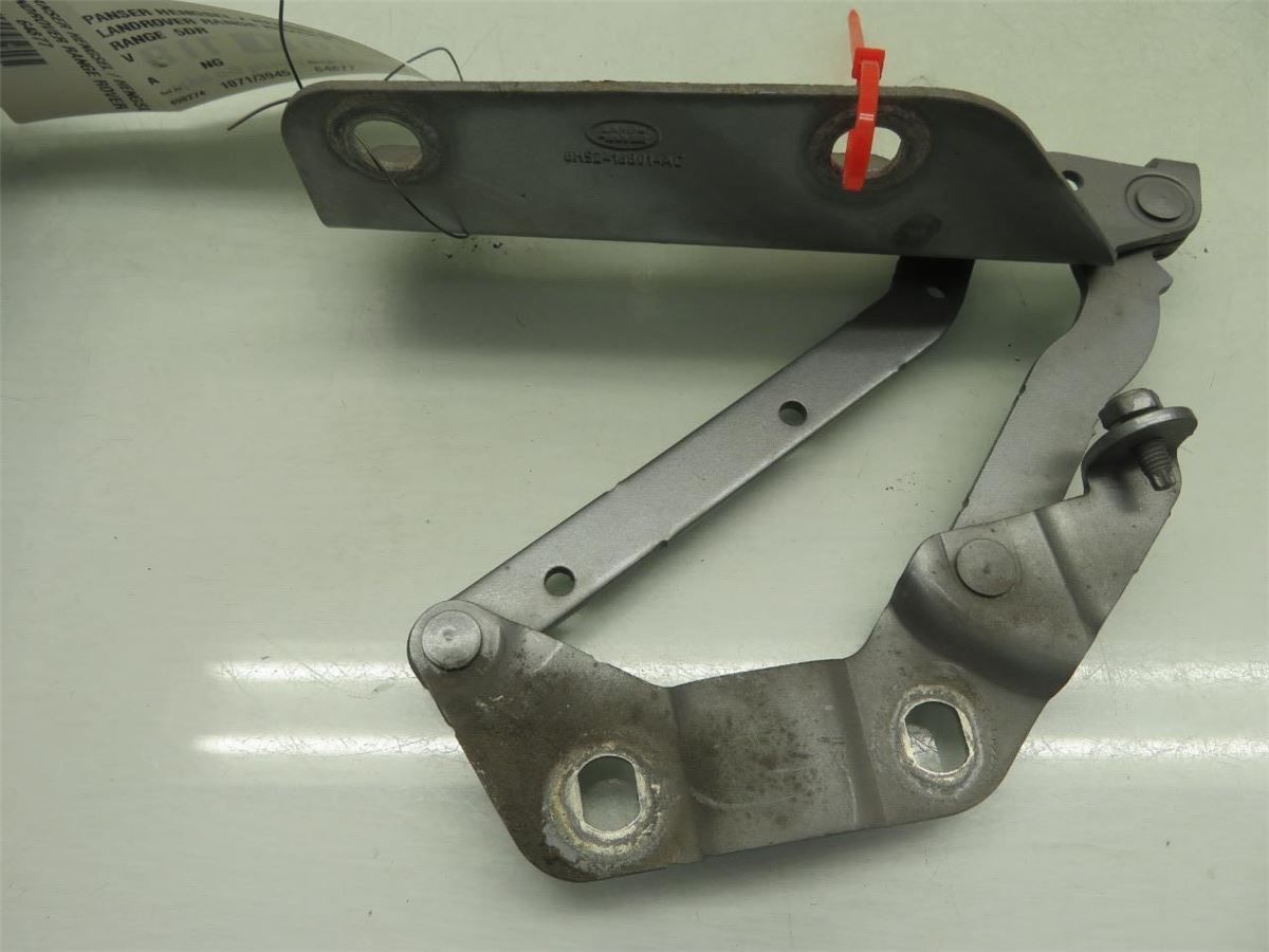 Panser Hengsel / Hengsler – bilde 2