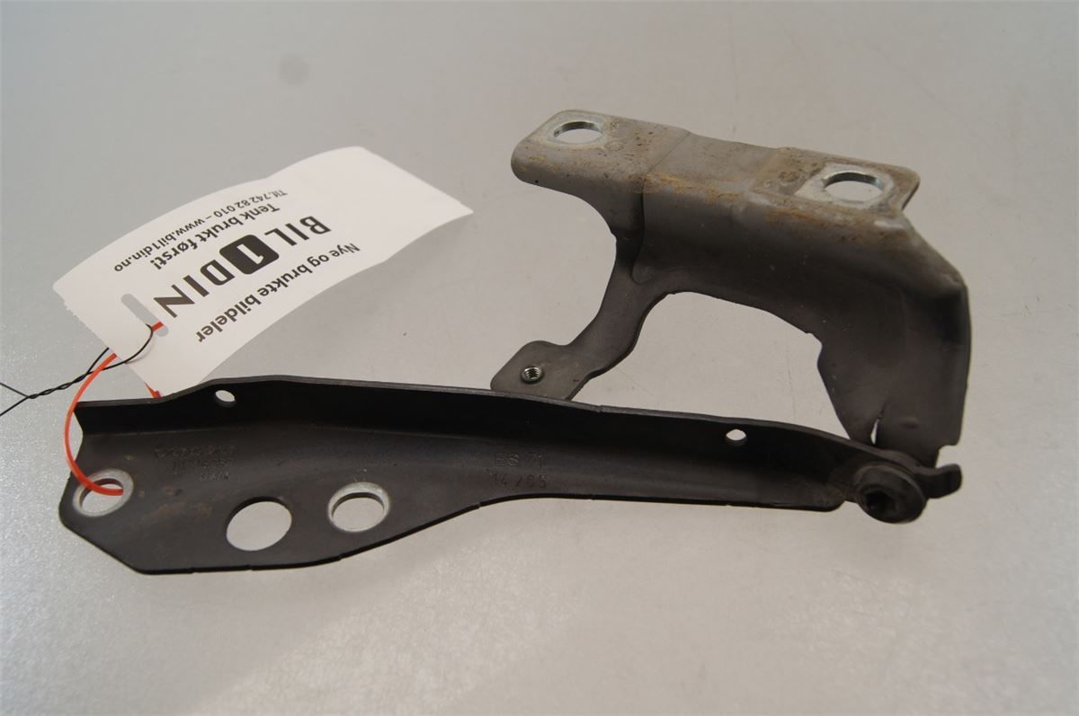 Panser Hengsel / Hengsler – bilde 1