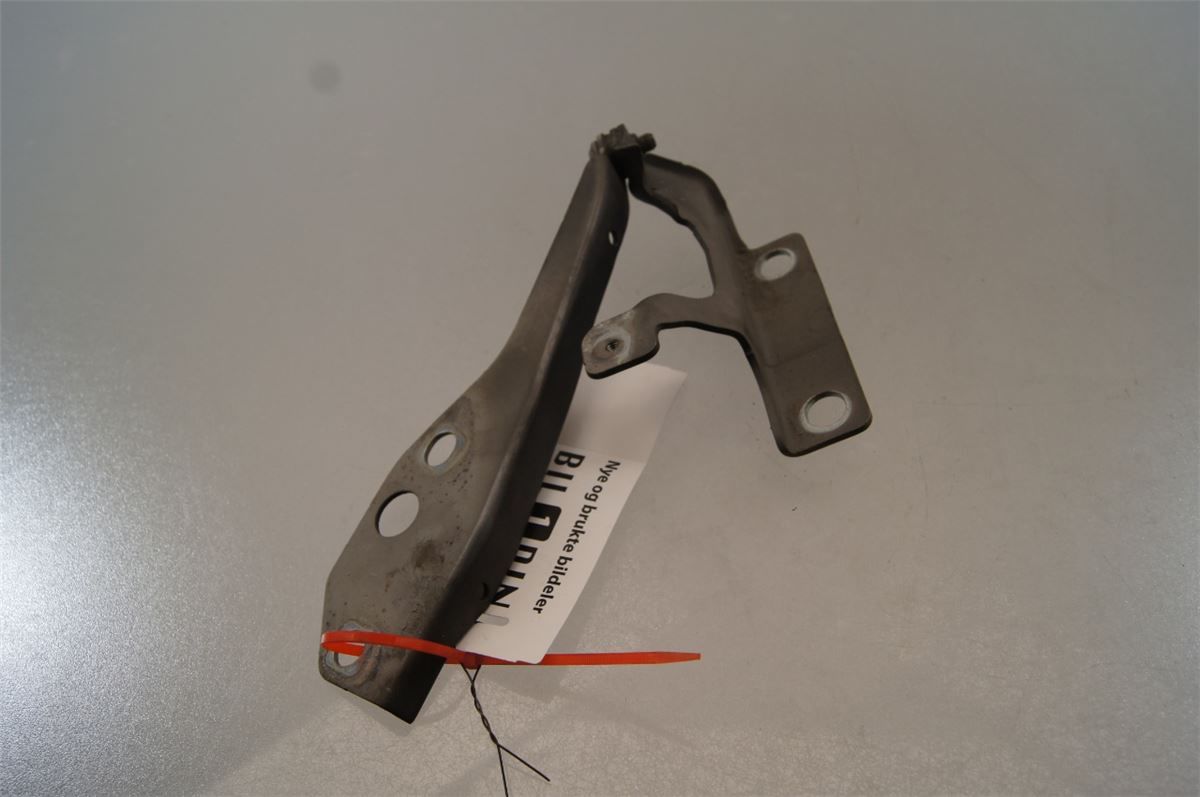 Panser Hengsel / Hengsler – bilde 3