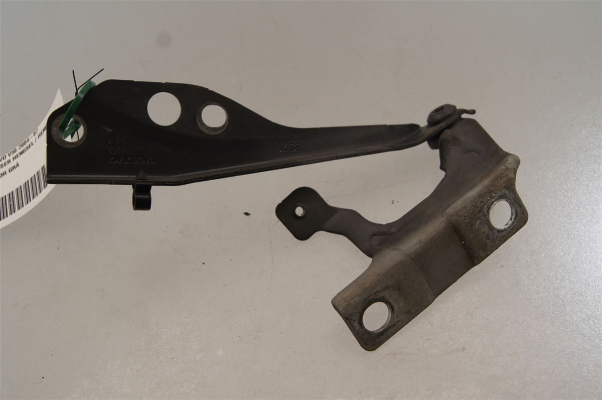 Panser Hengsel / Hengsler – bilde 1