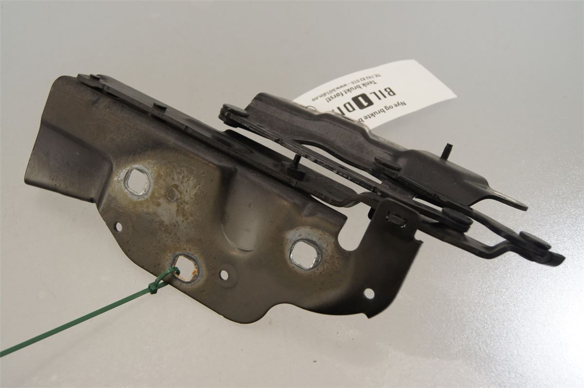 Panser Hengsel / Hengsler – bilde 3