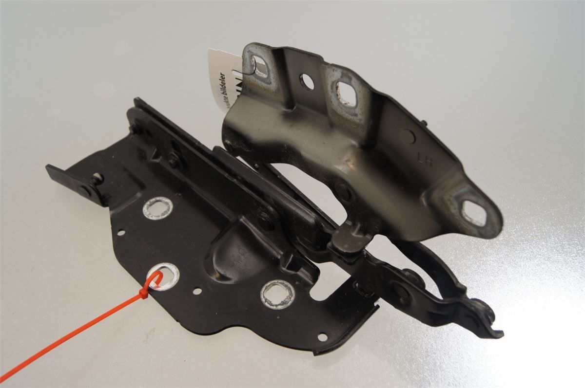 Panser Hengsel / Hengsler – bilde 1