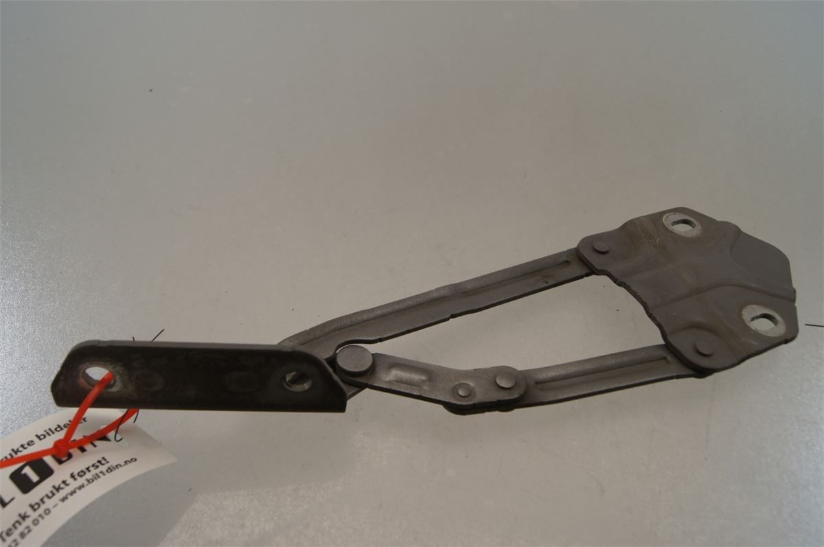 Panser Hengsel / Hengsler – bilde 1