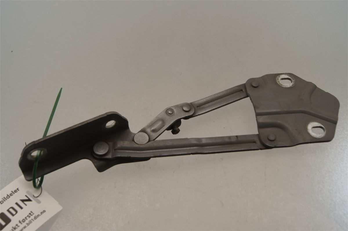 Panser Hengsel / Hengsler – bilde 1