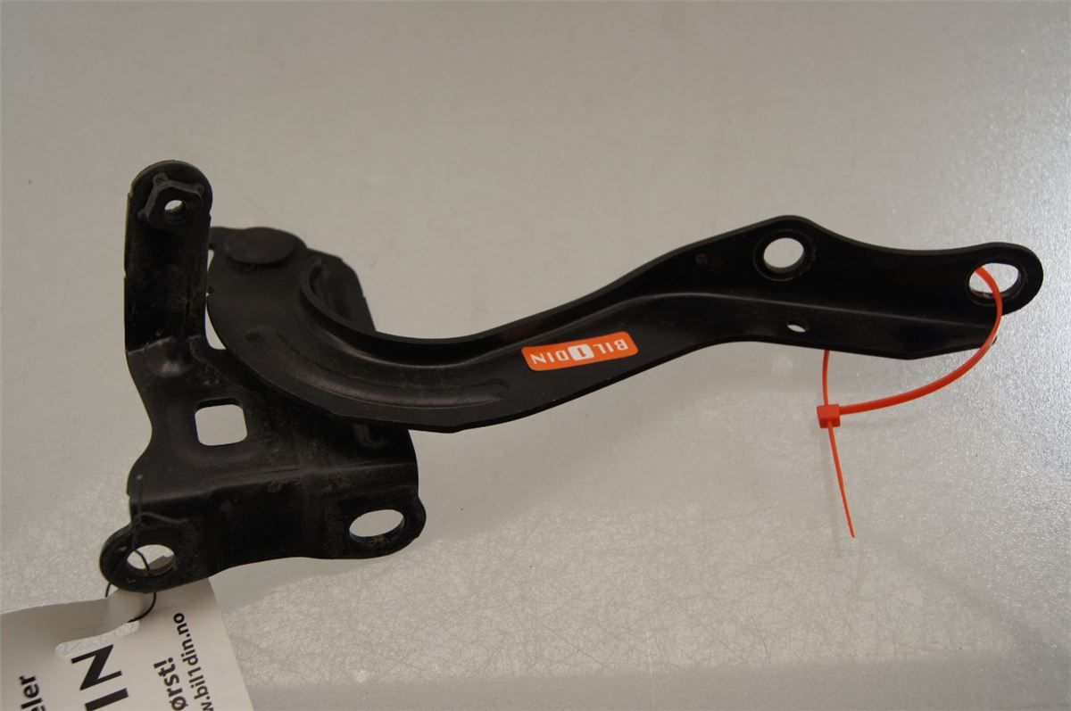 Panser Hengsel / Hengsler – bilde 1