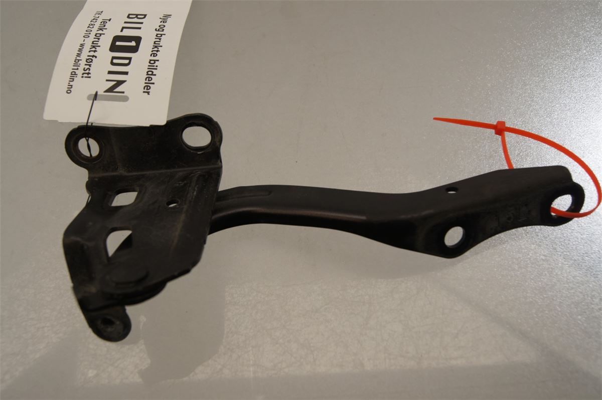 Panser Hengsel / Hengsler – bilde 2