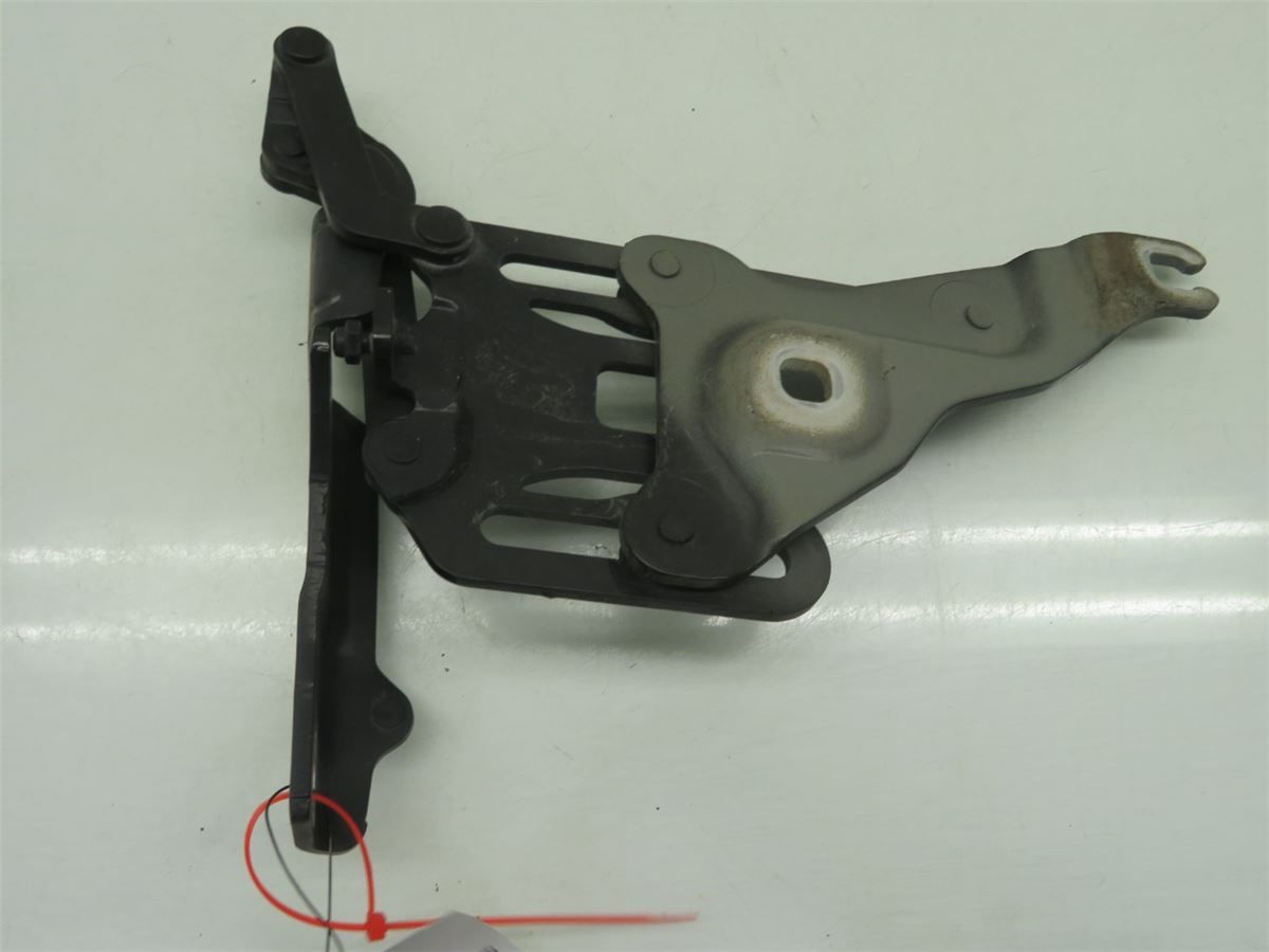 Panser Hengsel / Hengsler – bilde 2