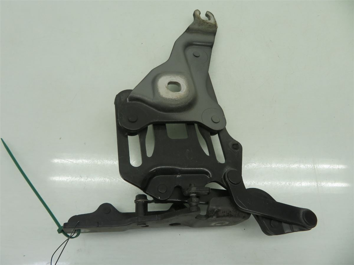 Panser Hengsel / Hengsler – bilde 1
