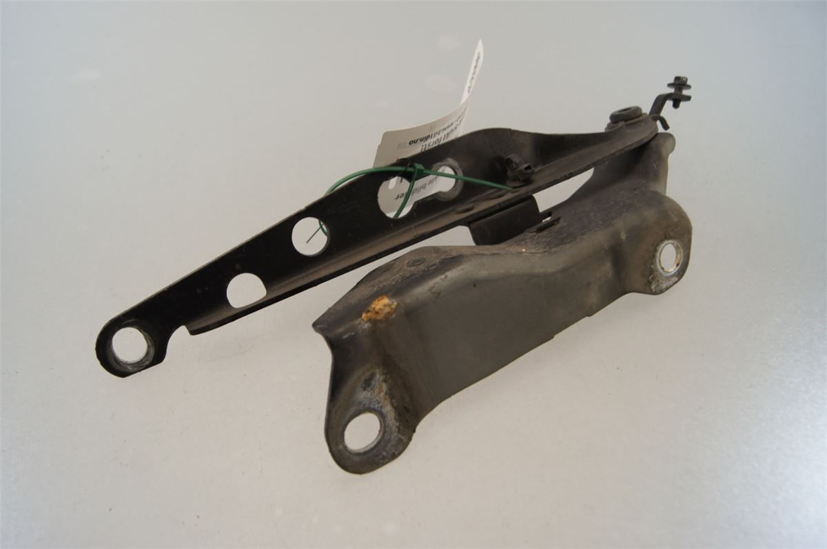 Panser Hengsel / Hengsler – bilde 2