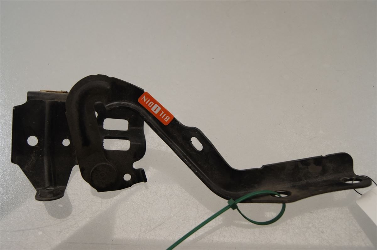 Panser Hengsel / Hengsler – bilde 1