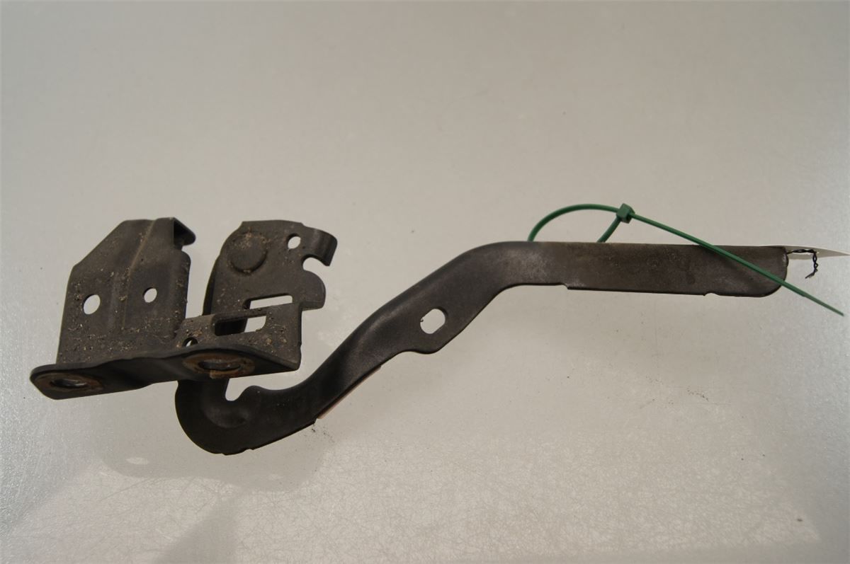 Panser Hengsel / Hengsler – bilde 2