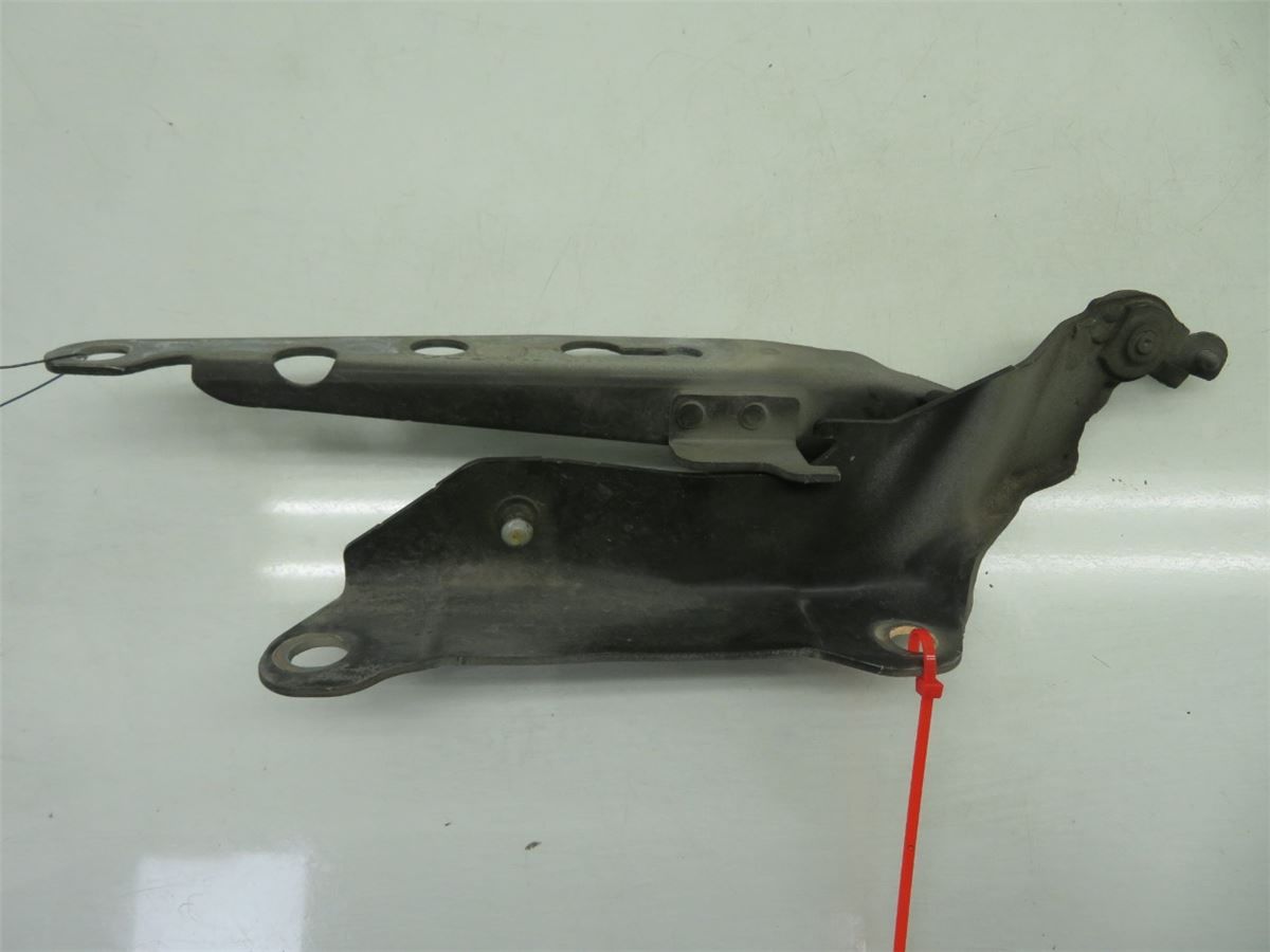 Panser Hengsel / Hengsler – bilde 2