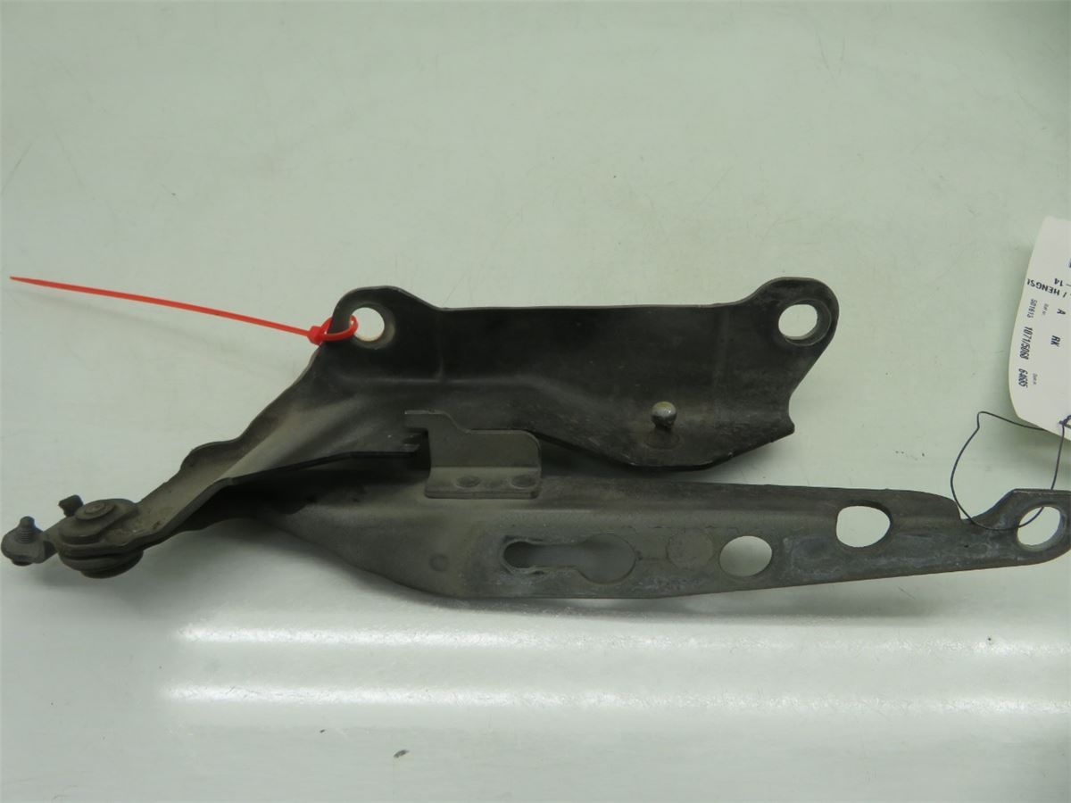 Panser Hengsel / Hengsler – bilde 3