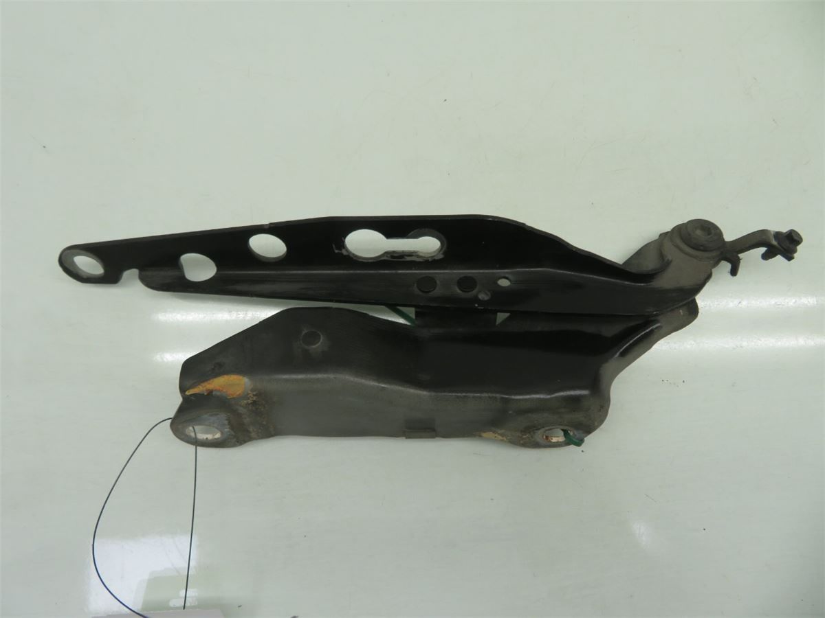 Panser Hengsel / Hengsler – bilde 1