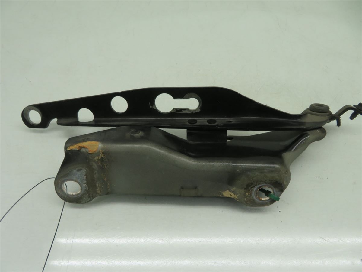 Panser Hengsel / Hengsler – bilde 2