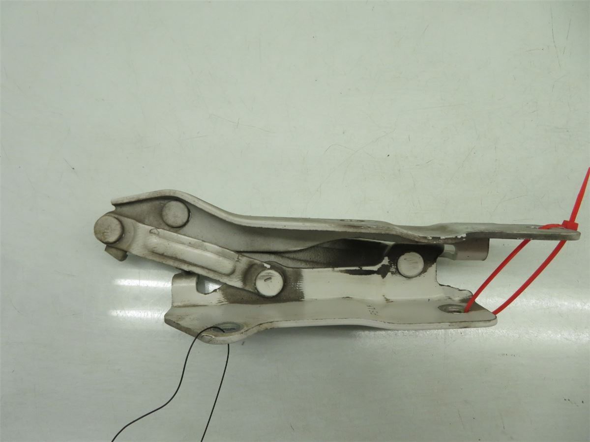 Panser Hengsel / Hengsler – bilde 1