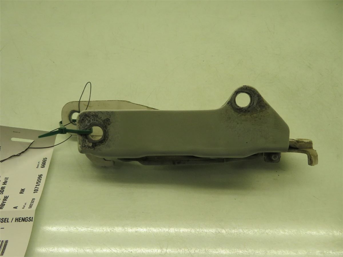 Panser Hengsel / Hengsler – bilde 2