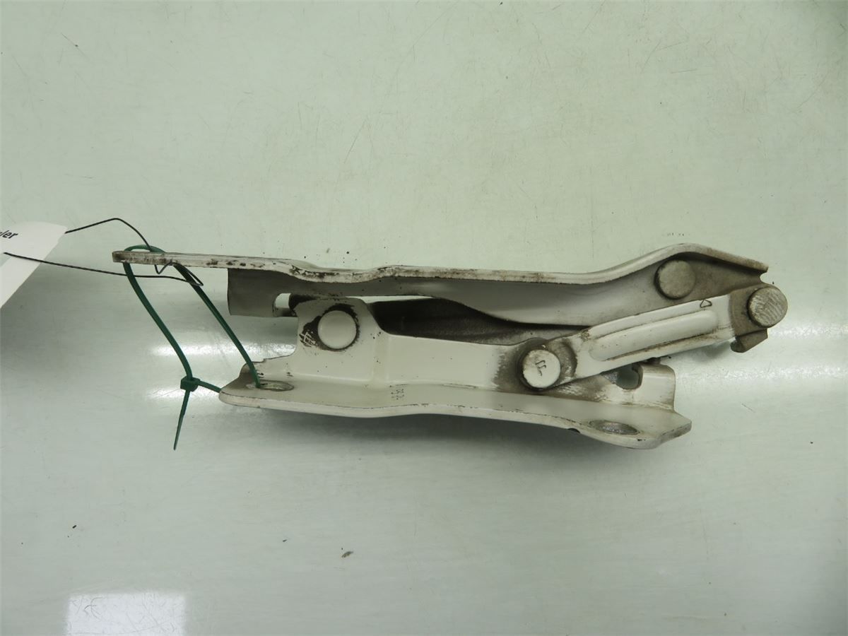Panser Hengsel / Hengsler – bilde 3