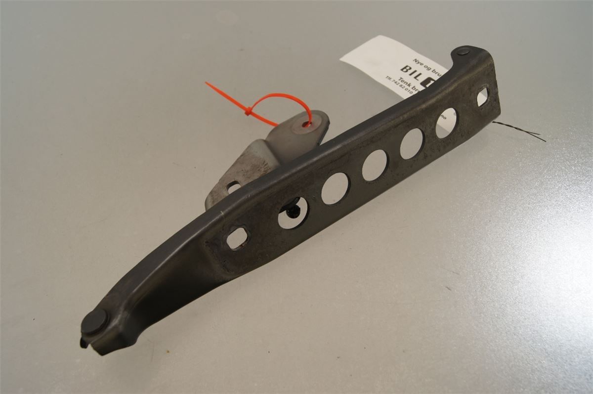 Panser Hengsel / Hengsler – bilde 3