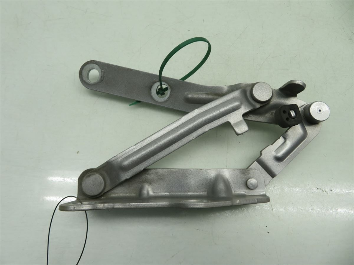 Panser Hengsel / Hengsler – bilde 1