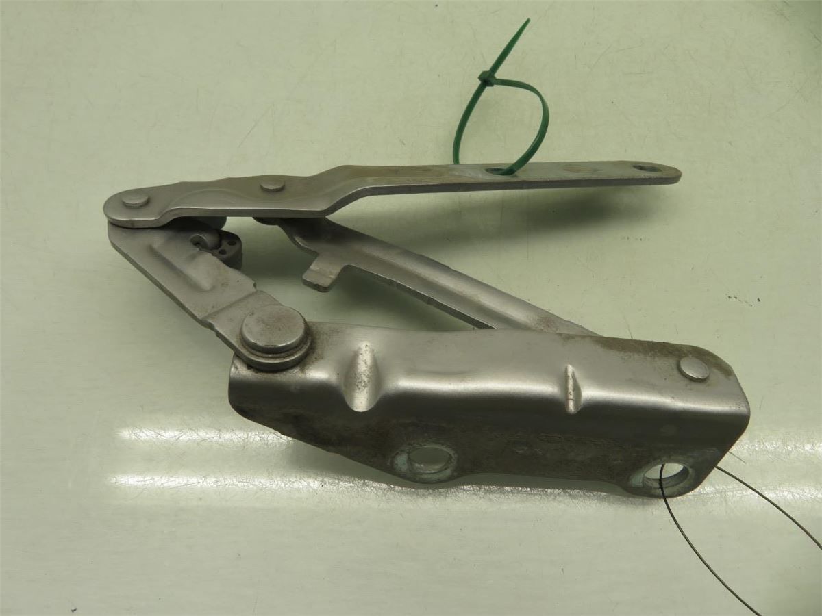 Panser Hengsel / Hengsler – bilde 2